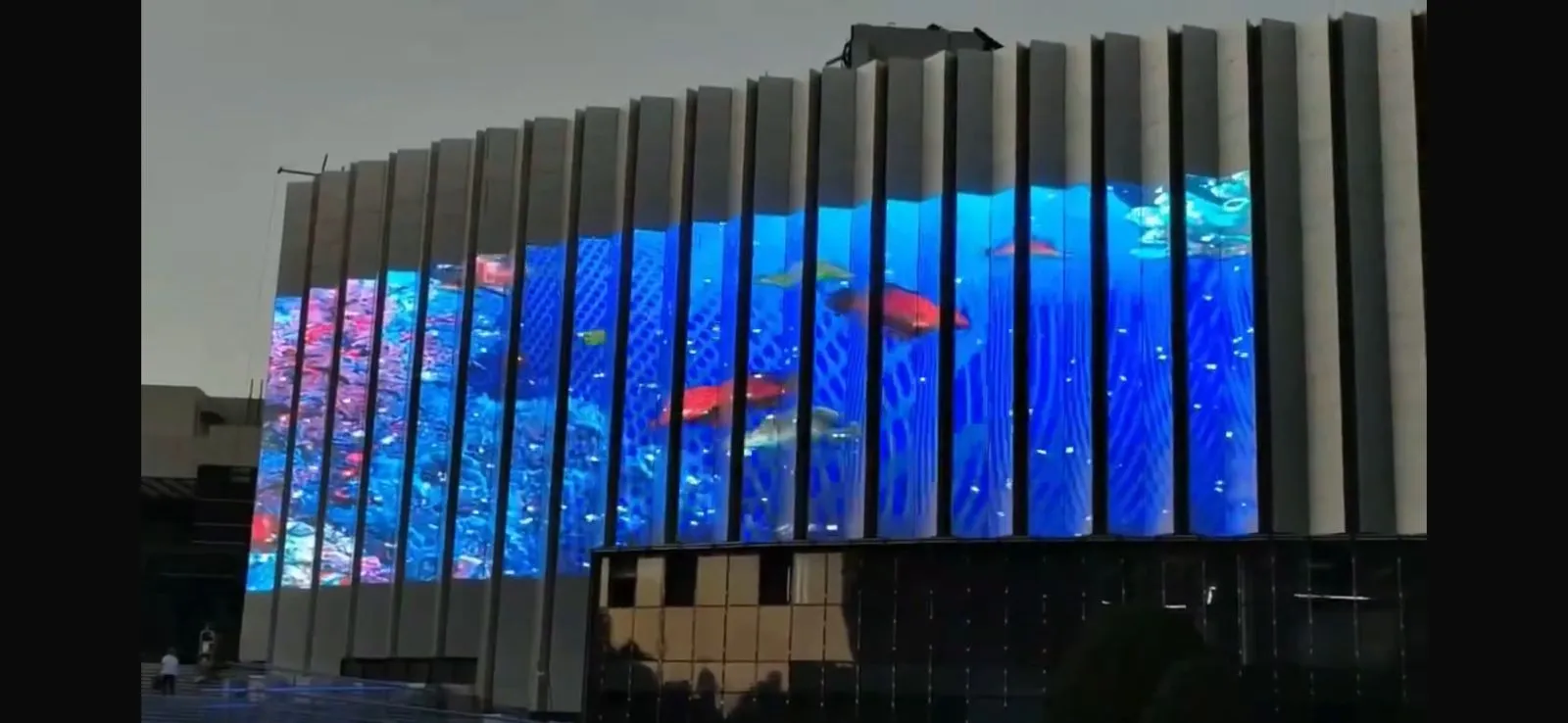 high-quality-led-displays-screen-with-bright-colors